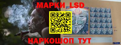 прущие грибы Кандалакша