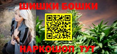 spice Камышлов