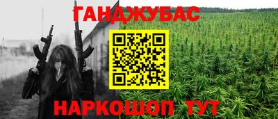 spice Камышлов