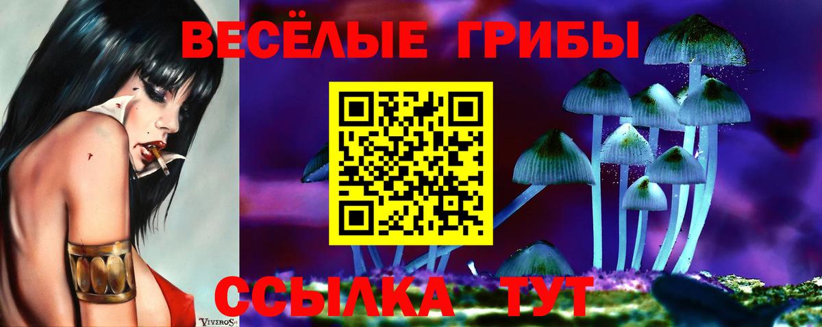 даркнет сайт  Псилоцибиновые грибы Psilocybe  Вход с VPN  Калининград  Псилоцибиновые грибы Magic Shrooms 